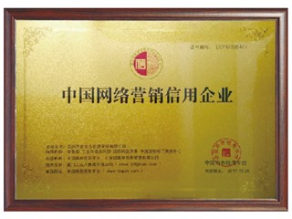 中國網(wǎng)絡營銷信用企業(yè)